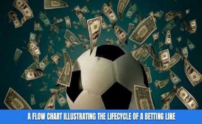 Football Betting Success