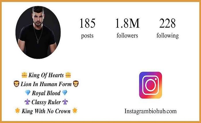 insta bio for boy